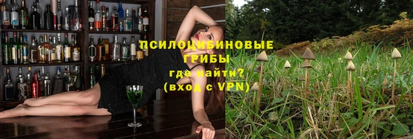 ПСИЛОЦИБИНОВЫЕ ГРИБЫ Зерноград