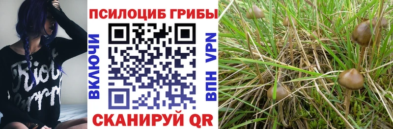 Псилоцибиновые грибы ЛСД  Купить  Анжеро-Судженск 