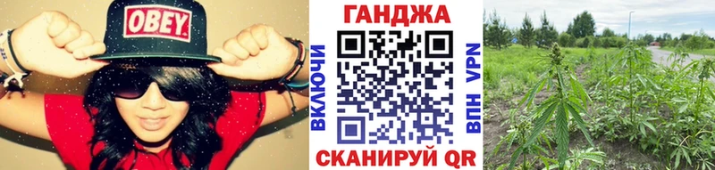 Купить закладки  Анжеро-Судженск  Марихуана THC 21% 